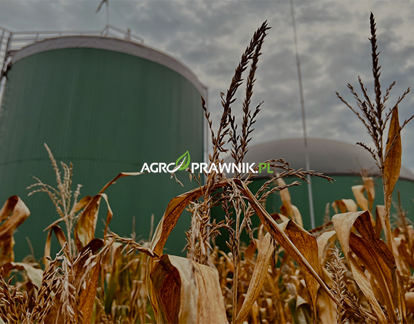 Biometan, Ciepłownictwo, Gaz ziemny, Odnawialne źródła energii, Dekarbonizacja, Transformacja energetyczna, Prawo energetyczne, Fit for 55, ETS 2, Ogrzewnictwo, Rolnictwo, Inwestycje biometanowe, Produkcja biogazu, Kogeneracja, Zielony gaz, Karolina Nalewaj