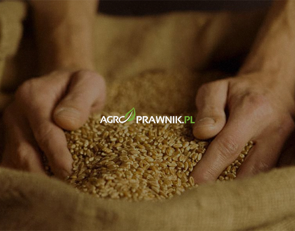 PIORiN, wpis do ewidencji, rejestracja materiału siewnego, obowiązek rejestracji, dostawcy materiału roślinnego, przedsiębiorcy rolni, rolnik, materiał siewny, obrót materiałem siewnym, ewidencja przedsiębiorców, ewidencja rolników, ewidencja dostawców, sprzedaż materiału szkółkarskiego, sankcje PIORiN, obowiązki prawne rolników, rejestr producentów roślin, sprzedaż nasion, formalności rolnicze, ustawa o nasiennictwie, zgłoszenie do PIORiN, Karolina Nalewaj