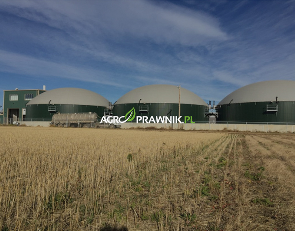 biogazownie rolnicze, opłacalność inwestycji, zielona transformacja, odnawialne źródła energii, bezpieczeństwo energetyczne, odpady rolnicze, dochody dodatkowe, moc przyłączeniowa, substraty, gnojowica, obornik, resztki paszowe, rośliny energetyczne, FiT, FIP, taryfy gwarantowane, Energia dla Wsi, dofinansowanie, dotacje, preferencyjne pożyczki, zwrot inwestycji, koszty transportu, logistyka substratów, operator systemu dystrybucyjnego, OSD, fotowoltaika, ograniczenia sieci, grupy producentów rolnych, spółdzielnie energetyczne, Karolina Nalewaj