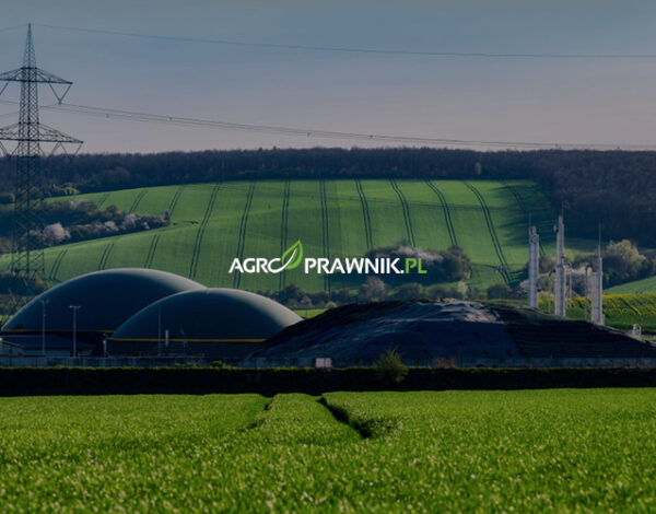 przyłączenie biogazowni do sieci, jak przyłączyć biogazownię, biogazownia rolnicza przyłączenie, warunki przyłączenia biogazowni, przyłączenie OZE do sieci, biogazownia a OSD, operator systemu dystrybucyjnego biogazownia, koszty przyłączenia biogazowni, procedura przyłączenia biogazowni, specustawa biogazowa 2025, prawo energetyczne biogazownia, umowa przyłączeniowa OZE, warunki przyłączenia OZE 2025, biogazownia 1 MW przyłączenie, przyłącze elektroenergetyczne biogazownia, projekt przyłączenia biogazowni, pozwolenie na budowę biogazownia, odbiory techniczne biogazowni, sprzedaż energii z biogazowni, aukcje URE biogazownie, zielona energia rolnictwo, inwestycja w biogazownię 2025, Karolina Nalewaj