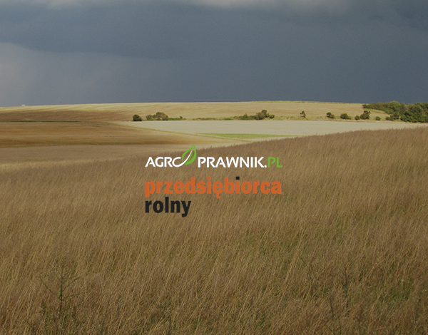 zakaz sprzedaży gruntów rolnych, państwowe grunty rolne, Zasób Własności Rolnej Skarbu Państwa, dzierżawa gruntów rolnych, moratorium na sprzedaż ziemi, ustawa o wstrzymaniu sprzedaży nieruchomości, Krajowy Ośrodek Wsparcia Rolnictwa, gospodarstwa rodzinne, rynek ziemi rolnej, ochrona polskiej ziemi, spekulacja gruntami, polityka rolna państwa, inwestycje w rolnictwie, czynsz dzierżawny, przetargi dzierżawne, sprzedaż gruntów państwowych, prawo rolne, zmiany legislacyjne, wieś polska, rozwój gospodarstw rolnych