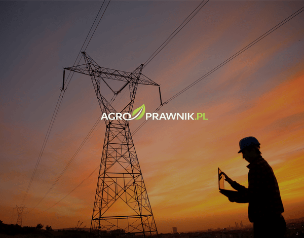 odszkodowanie za słupy energetyczne, służebność przesyłu, zasiedzenie służebności, wyrok Trybunał Konstytucyjny, P 10/16, SK 17/18, wznowienie postępowania cywilnego, skarga o wznowienie, bezumowne korzystanie z nieruchomości, roszczenia rolników, grunty rolne, przedsiębiorstwa przesyłowe, linie energetyczne na działce, gazociąg na działce, linie telekomunikacyjne, przedawnienie 10 lat, art. 408 k.p.c., uchwała Sąd Najwyższy III PZP 2/09, brak publikacji wyroku TK, Dziennik Ustaw, prawa właścicieli nieruchomości, rekompensata za grunt, słupy na polu, odszkodowanie za infrastrukturę przesyłową, wznowienie starych spraw sądowych, Karolina Nalewaj