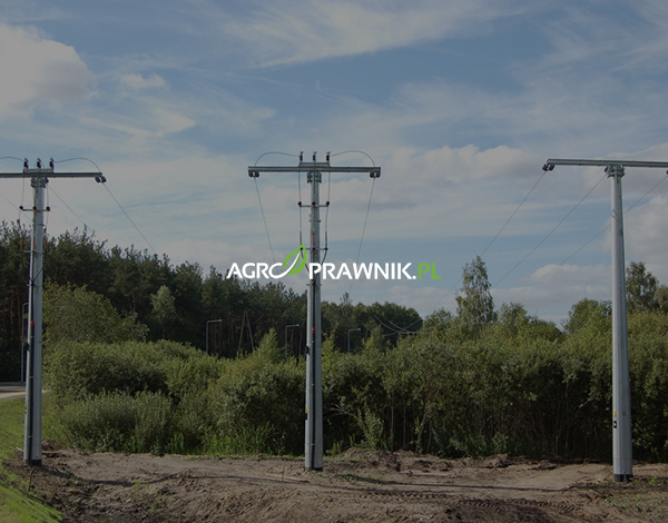 sprzedaż działki z linią energetyczną, służebność przesyłu działka, linia energetyczna na działce prawo, odszkodowanie za słupy energetyczne, infrastruktura przesyłowa na działce, wynagrodzenie za bezumowne korzystanie z nieruchomości, prawa właściciela działki linia energetyczna, czy były właściciel może żądać odszkodowania, obniżenie wartości nieruchomości infrastruktura, roszczenia po sprzedaży działki, czy po sprzedaży działki można dochodzić odszkodowania, wynagrodzenie za służebność przesyłu kto może żądać, działka z gazociągiem czy warto kupić, słupy energetyczne na działce a cena nieruchomości, bezumowne korzystanie z działki przez zakład energetyczny, roszczenia poprzedniego właściciela nieruchomości, czy infrastruktura obniża wartość działki budowlanej, kto ma prawo do wynagrodzenia za służebność przesyłu, ile wynosi wynagrodzenie za linię energetyczną na działce, służebność przesyłu Kodeks cywilny, przedsiębiorstwo przesyłowe obowiązki, odszkodowanie za ograniczenie własności, posadowienie urządzeń przesyłowych bez zgody, przedawnienie roszczeń nieruchomości 6 lat, prawo własności a infrastruktura techniczna, działka obciążona służebnością, spór z zakładem energetycznym, gazociąg na działce prawo właściciela, światłowód na działce wynagrodzenie, jak dochodzić roszczeń za działkę, Karolina Nalewaj